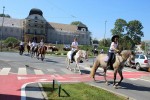 IMG 4585