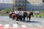 IMG 4590