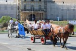 IMG 4591