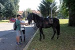 IMG 5155
