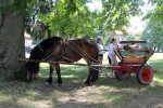 IMG 5156