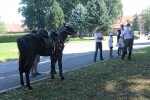 IMG 5173