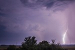 IMG 9858