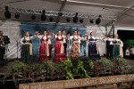 golubica bijela 1