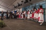 golubica bijela 12