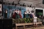 golubica bijela 14