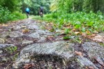 Biker inspekcija ponovno "jaše": Proteklog smo vikenda zavirili "iza kulisa" 3. izdanja Panonsko-Bilogorskog MTB maratona koji u Virovitici organizira skupina biciklističkih entuzijasta 19 20180901 155947 01 Copy