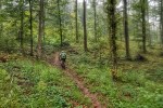 Biker inspekcija ponovno "jaše": Proteklog smo vikenda zavirili "iza kulisa" 3. izdanja Panonsko-Bilogorskog MTB maratona koji u Virovitici organizira skupina biciklističkih entuzijasta 24 20180901 180233 01 Copy