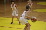 Fotogalerija: Košarkaškom utakmicom obilježen Hrvatski olimpijski dan u Virovitici 37 IMG 0975 Custom