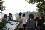 IMG 4937