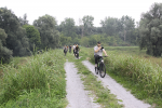 IMG 4966