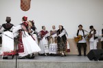 IMG 5985