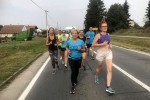 slike maraton 42