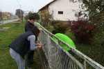 IMG 0bbab45b38b07e22f9867e6598976108 V