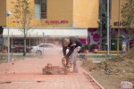Fotogalerija - Gradski park Virovitica: Pored novouređene šetnice ispred virovitičke Gimnazije posađena nova stabla, u tijeku i sadnja grmova 2 MG 7582