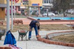 Fotogalerija - Gradski park Virovitica: Pored novouređene šetnice ispred virovitičke Gimnazije posađena nova stabla, u tijeku i sadnja grmova 9 MG 7599