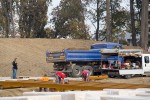 Fotogalerija - Gradski park Virovitica: Pored novouređene šetnice ispred virovitičke Gimnazije posađena nova stabla, u tijeku i sadnja grmova 12 MG 7608