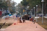 Fotogalerija - Gradski park Virovitica: Pored novouređene šetnice ispred virovitičke Gimnazije posađena nova stabla, u tijeku i sadnja grmova 15 MG 7619