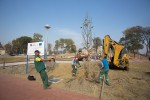 Fotogalerija - Gradski park Virovitica: Pored novouređene šetnice ispred virovitičke Gimnazije posađena nova stabla, u tijeku i sadnja grmova 21 MG 7633