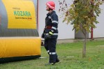 pitomaca vatra 17