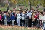pitomaca vatra 40