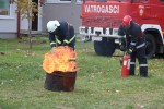 pitomaca vatra 49