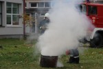 pitomaca vatra 50