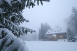 Jankovac se u utorak ujutro probudio zaogrnut bijelim pokrivačem, no stiže nam novo zatopljenje... 3 IMG 4110