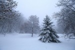 Jankovac se u utorak ujutro probudio zaogrnut bijelim pokrivačem, no stiže nam novo zatopljenje... 5 IMG 4115