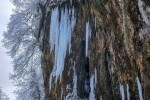 20190119 0942171