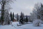 20190119 0954531