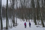 20190119 104935