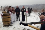 Fotogalerija: Na lokaciji Jezerac gdje raste i najčuvenija sorta orahovačkog vina, Zeleni silvanac, obilježena je proslava sv. Vinka 3 2201pporahovicavinkovo 1 Custom