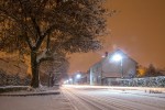IMG 4207