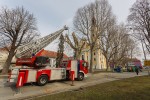 Fotogalerija: Djelatnici Flore VTC započeli s orezivanjem platana pored Crkve sv. Roka u Virovitici 3 MG 4485