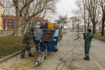 Fotogalerija: Djelatnici Flore VTC započeli s orezivanjem platana pored Crkve sv. Roka u Virovitici 6 MG 4509