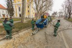 Fotogalerija: Djelatnici Flore VTC započeli s orezivanjem platana pored Crkve sv. Roka u Virovitici 8 MG 4519