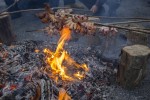 Fotogalerija: Uz pjesmu, vino i domaće specijalitete održano Vincekovo u Svetom Đurđu 9 MG 4606