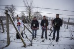 Fotogalerija: Uz pjesmu, vino i domaće specijalitete održano Vincekovo u Svetom Đurđu 11 MG 4609