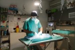 veterinari feliks 4
