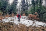 Fotogalerija: Proljeće je došlo i na vrhove Papuka gdje cvjetaju jaglaci, a planinari su mogli provjeriti i, „piju li nam vuci s izvora vodu“ 1 5zeiizds