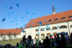 Festival srca u Virovitici: Vrtićarci pustili balone u znak potpore malim hrabrim srcima 7 IMG 1521 Custom