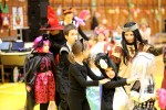 IMG 7746