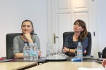 "Virovitica za generacije": Predstavljen novi vizualni identitet Dvorca Pejačević i Gradskog parka 9 IMG 2086