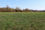 Djelatnici Javne ustanove za upravljanje zaštićenim dijelovima prirode i ekološkom mrežom VPŽ, ovih dana obavljaju monitoring strogo zaštićene vrste – kockavica 6 lt3cv78g