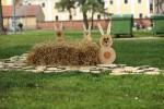 Fotogalerija: Uskrs u Virovitici, pogledajte kakve kreacije su uljepšale grad uoči velikog katoličkog blagdana 48 IMG 2695