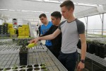 Tehnička škola Virovitica: Zahvaljujući njima, korisne i zdrave divlje šumske voćkarice više nikada neće biti zaboravljene 8 tehnicka skola stare vockarice 8