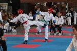 Fotogalerija: Taekwondo klub Slatina ekipno prvi na otvorenom Prvenstvu Hrvatske održanom u Slatini 20 tekvando slatina 20