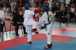 Fotogalerija: Taekwondo klub Slatina ekipno prvi na otvorenom Prvenstvu Hrvatske održanom u Slatini 27 tekvando slatina 27