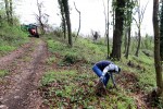 Zelena čistka: U sklopu akcije očišćena planinarska staza Virovitički vidici, u šumi je bilo televizora i frižidera, broj divljih odlagališta znatno se smanjuje 12 zelena 12